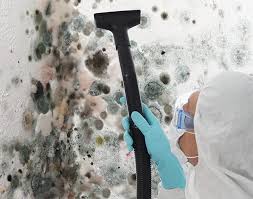 Best Mold Removal for HVAC Installations  in Leakesville, MS